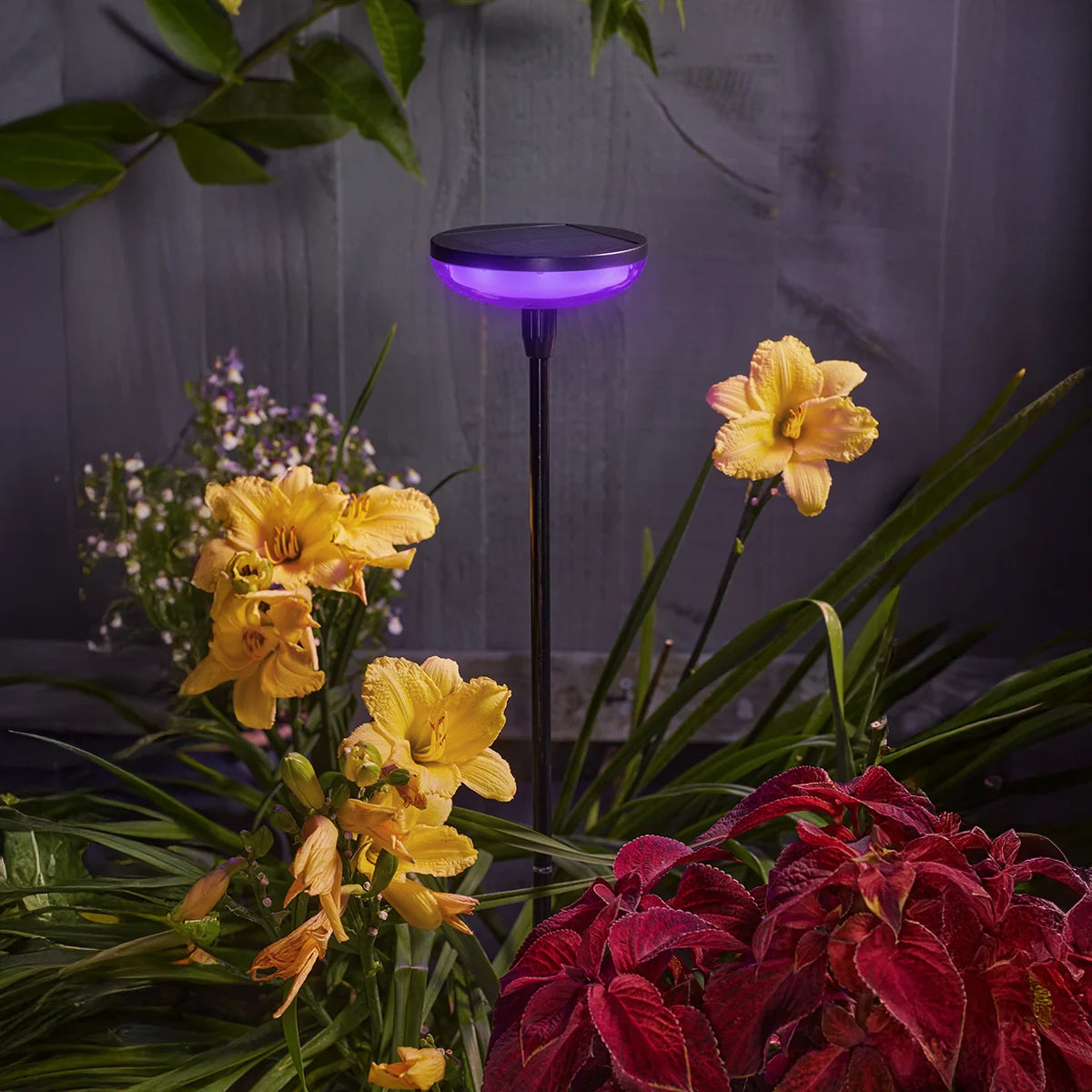 Hygge Solar Stake Light Colour Changing 77cm