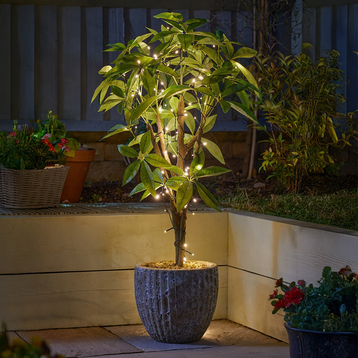 5m Solar Fairy Lights 50 Warm White LEDs