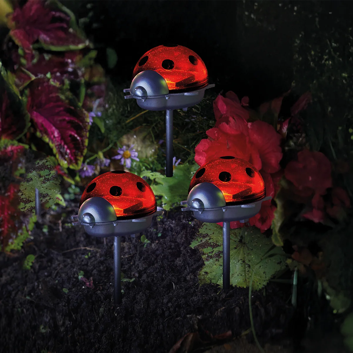 3 Ladybird Solar Stake Lights 14cm