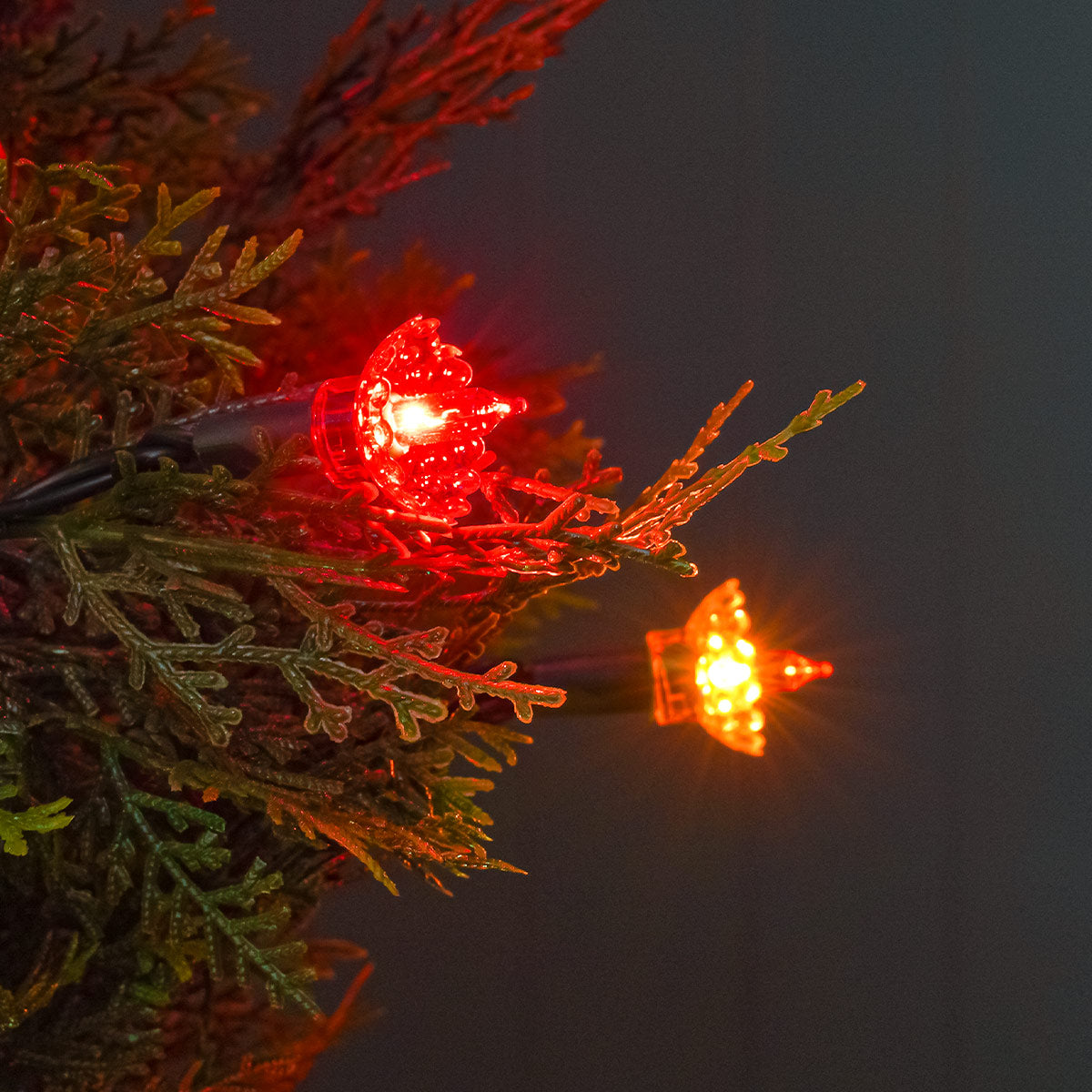 2.4m Traditional Pickwick Multi Coloured LED Outdoor Battery Christmas Fairy Lights