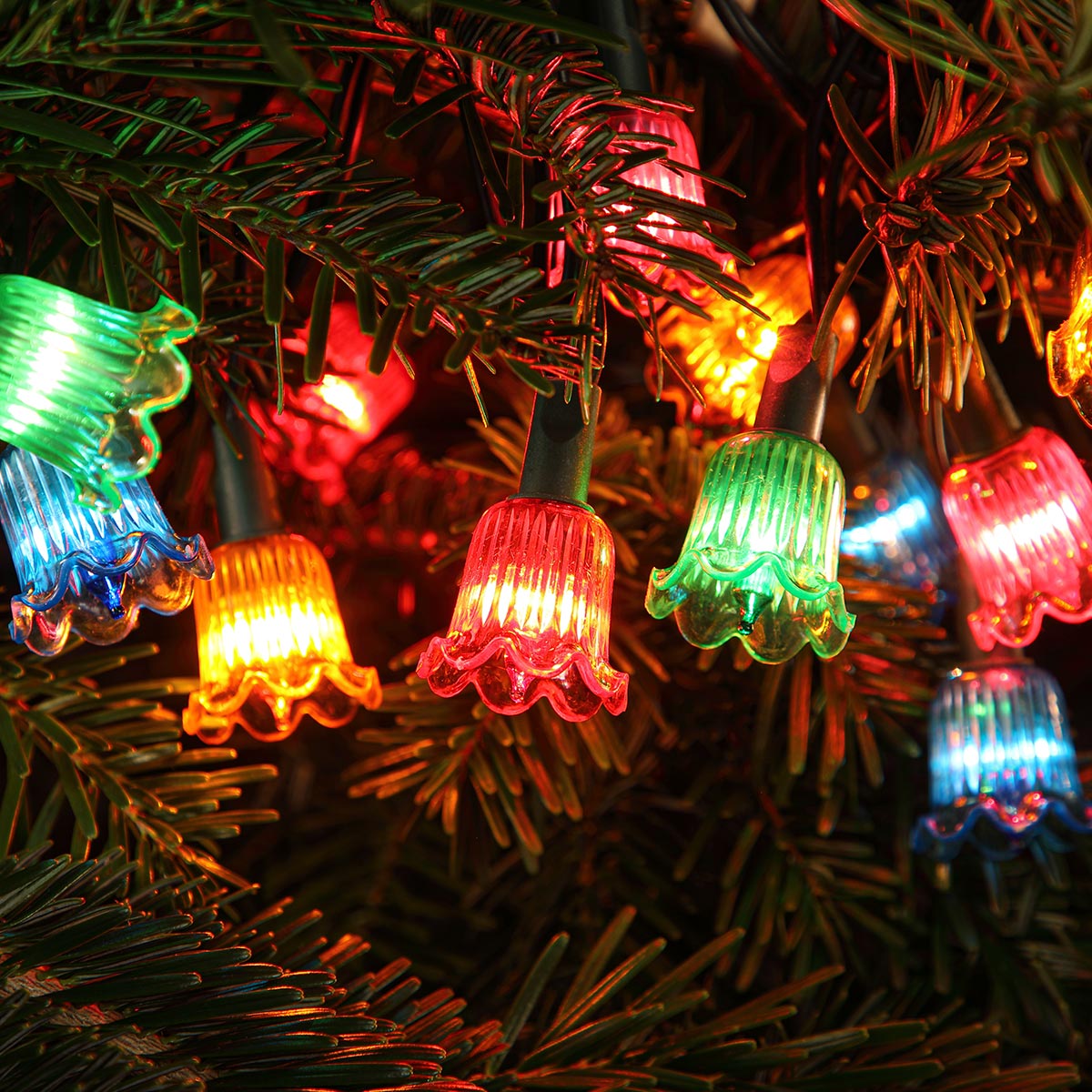 Canterbury Belles Multi Coloured LED Outdoor Christmas Fairy Lights