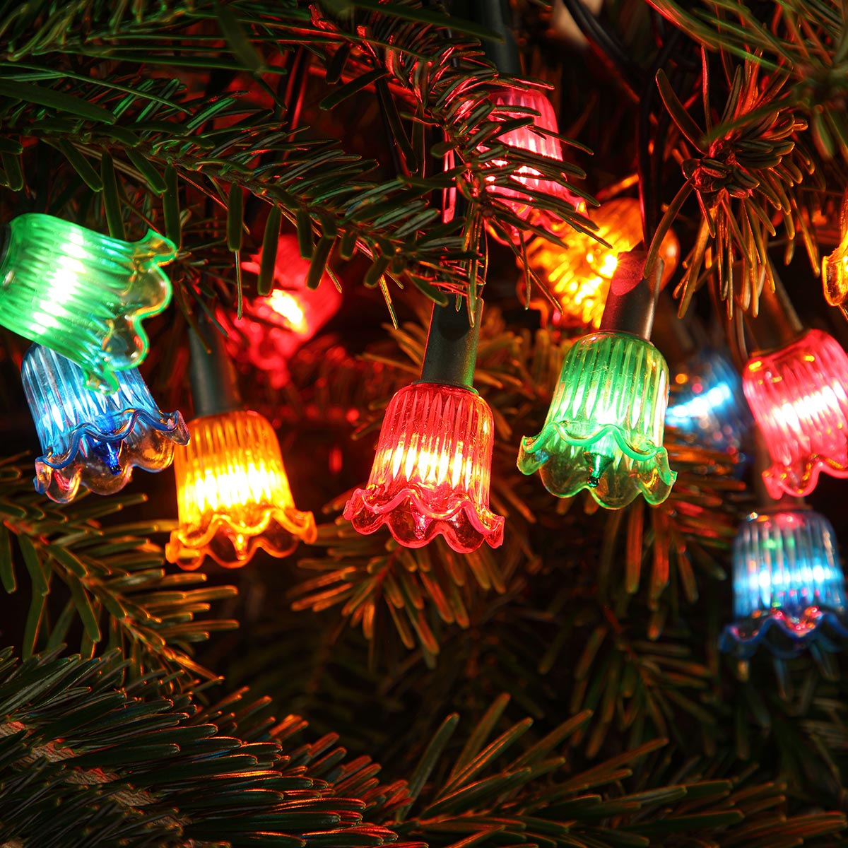 Canterbury Belles Multi Coloured LED Outdoor Christmas Fairy Lights