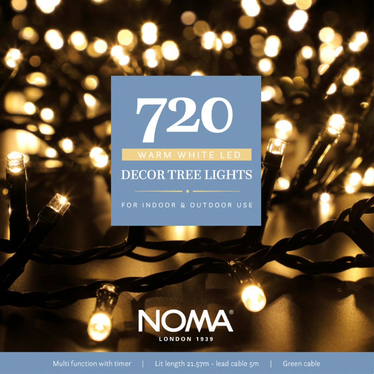 Outdoor Christmas Tree LED Fairy Lights