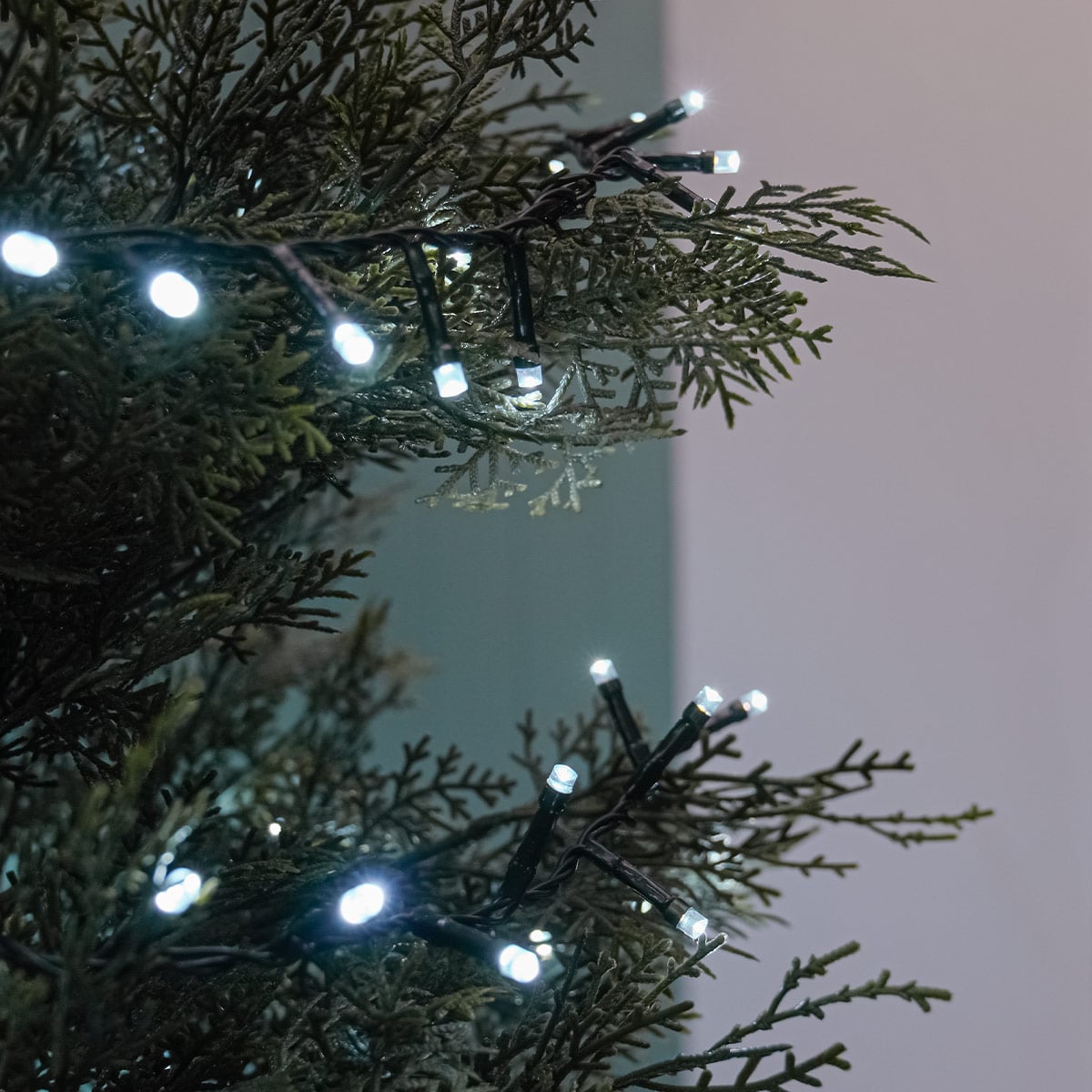 Outdoor Christmas Tree LED Fairy Lights