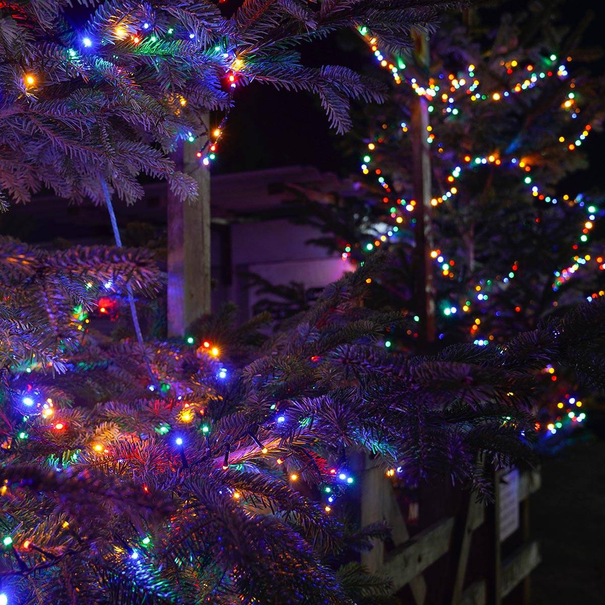 Outdoor Christmas Tree LED Fairy Lights