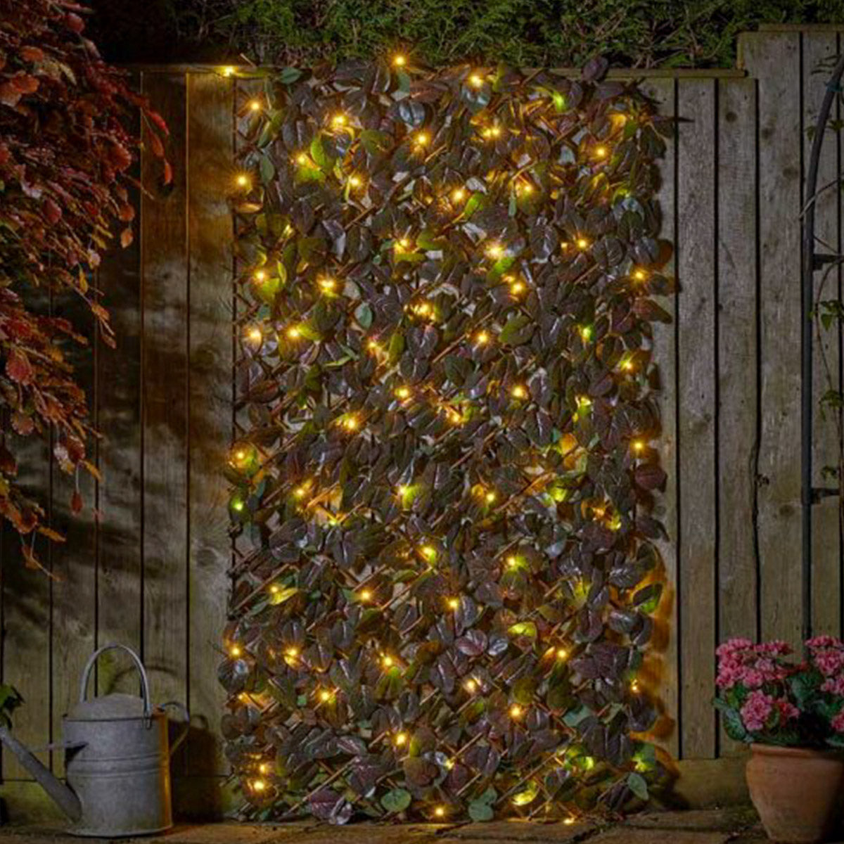 Solar Purple Haze Trellis