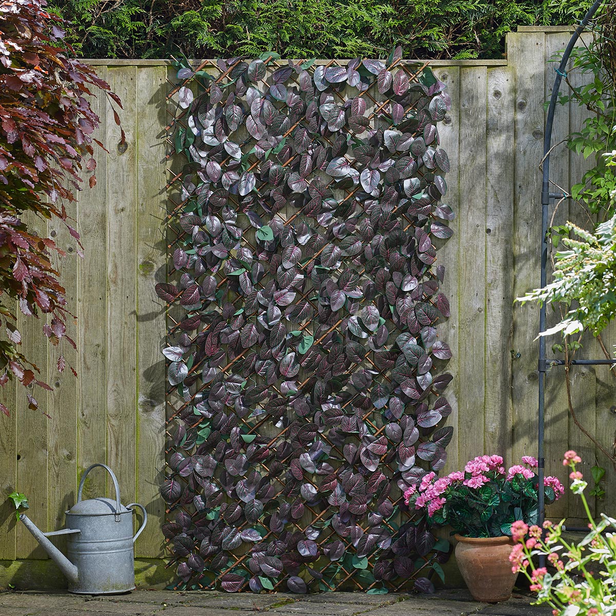 Solar Purple Haze Trellis