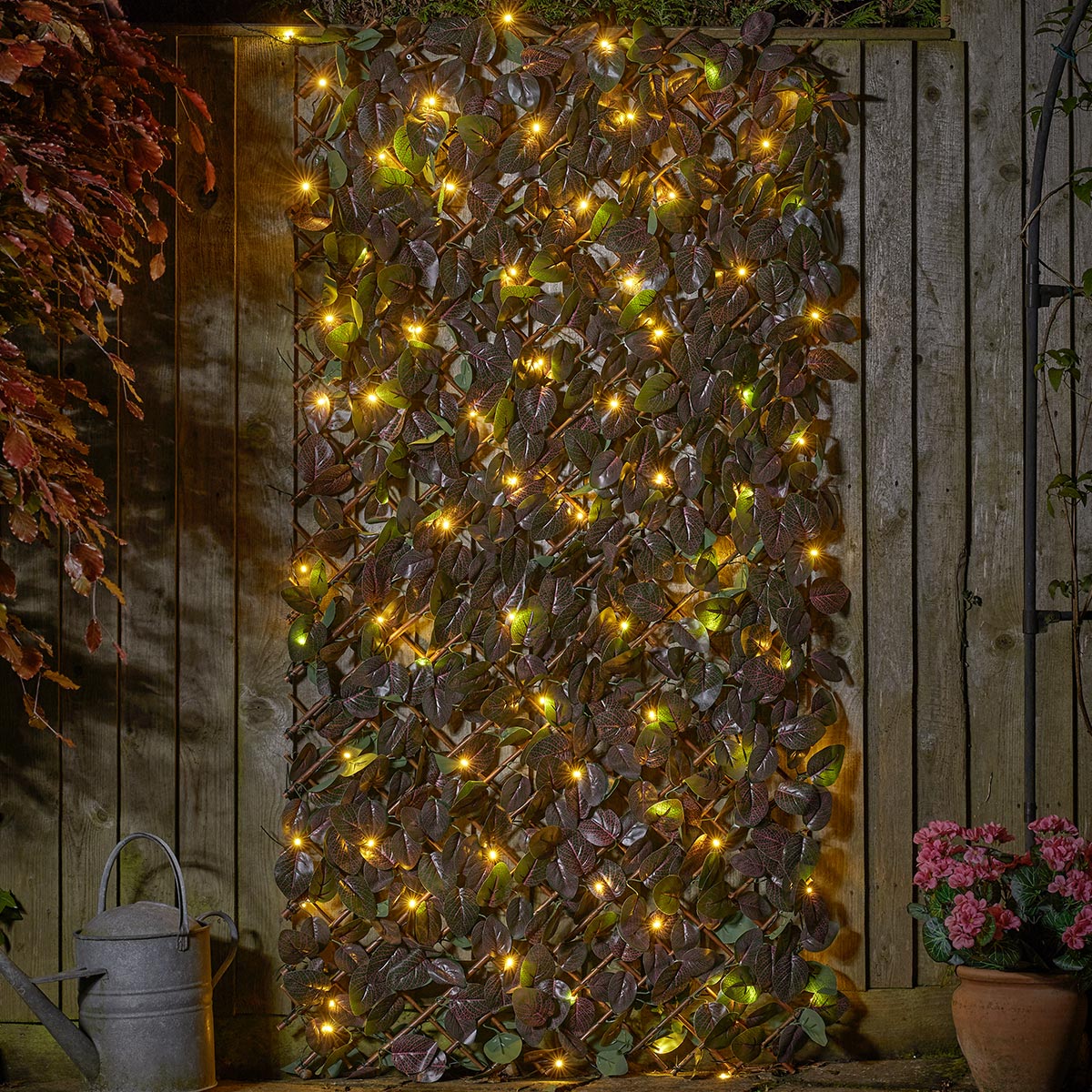 Solar Purple Haze Trellis