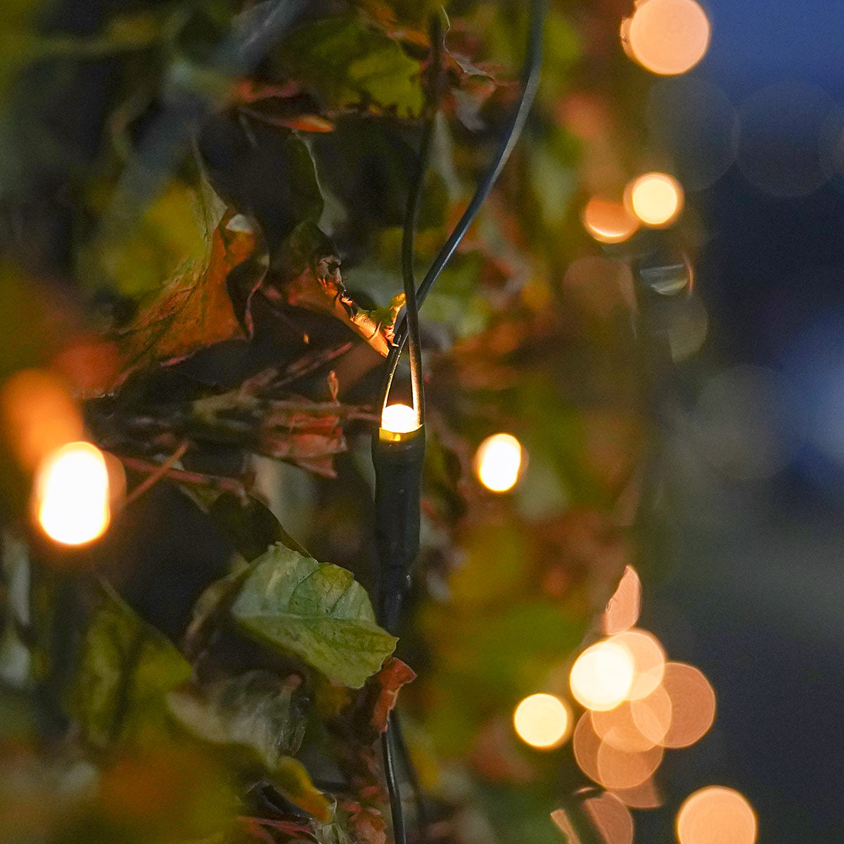 Outdoor Battery Multi Function Net lights