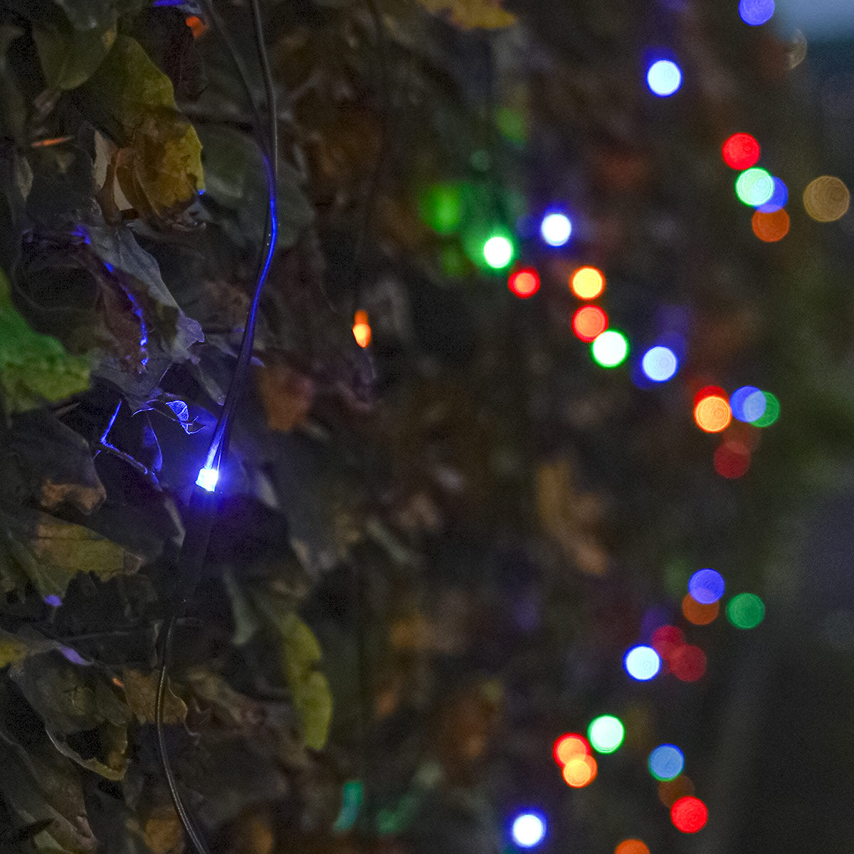 Outdoor Battery Multi Function Net lights