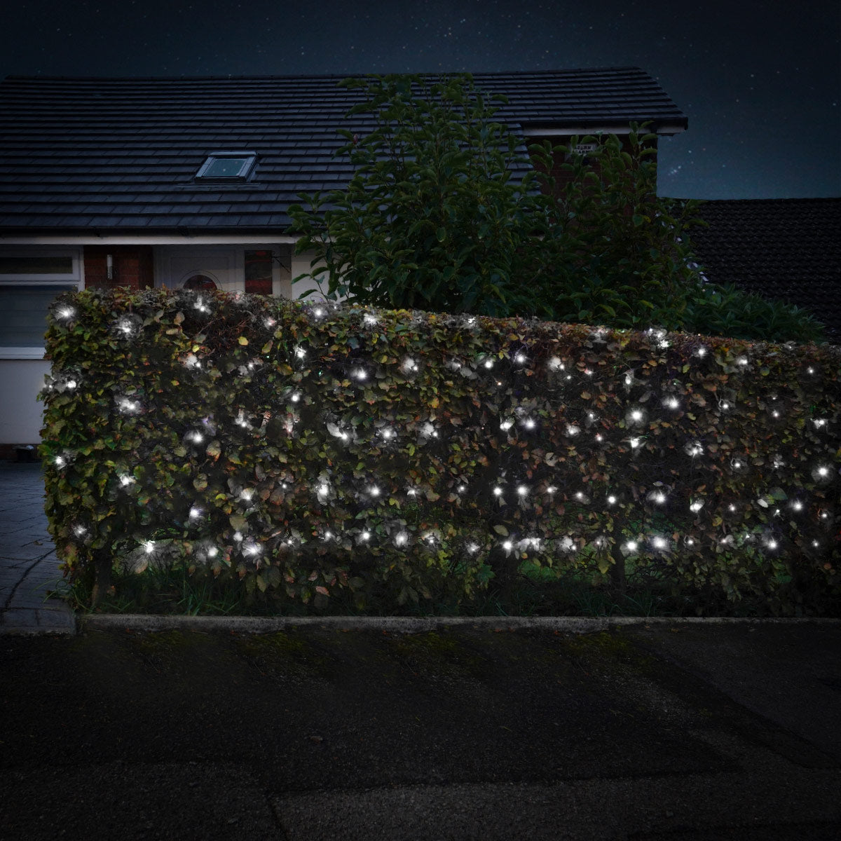 Outdoor Battery Multi Function Net lights