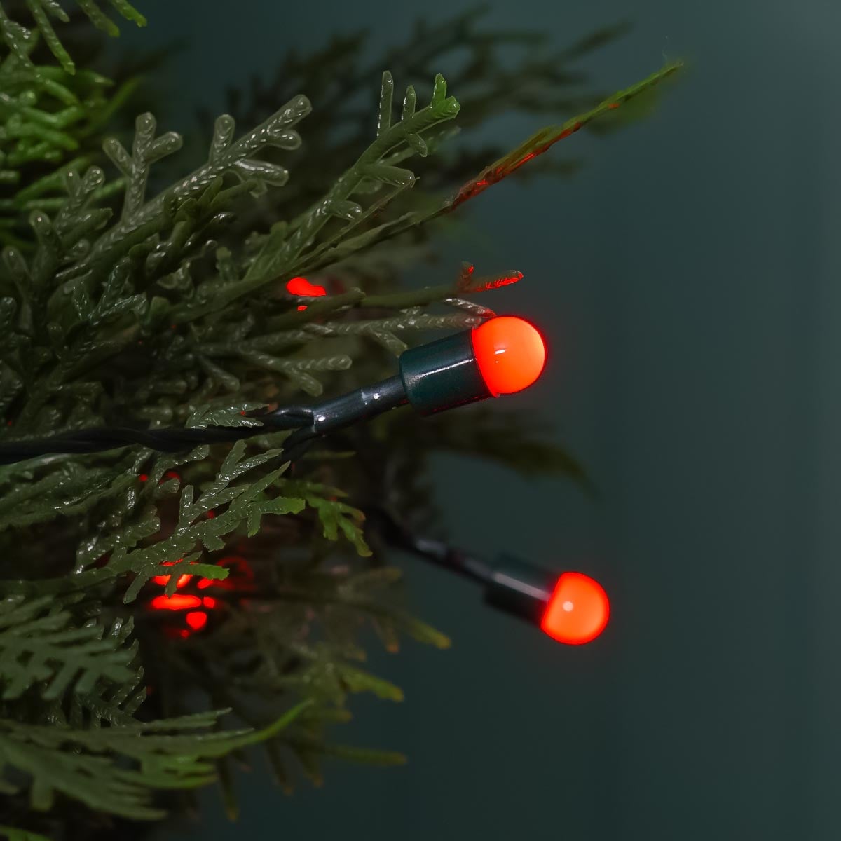 Indoor & Outdoor Battery Multifunction Berry Lights