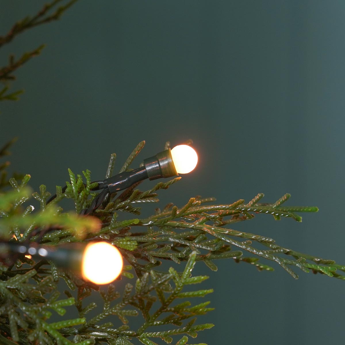Indoor & Outdoor Battery Multifunction Berry Lights