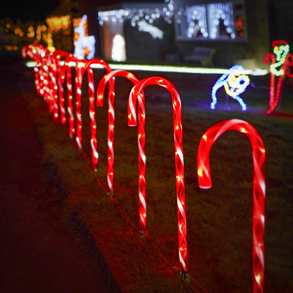 4 Outdoor Candy Canes Battery Christmas Stake Lights 68cm