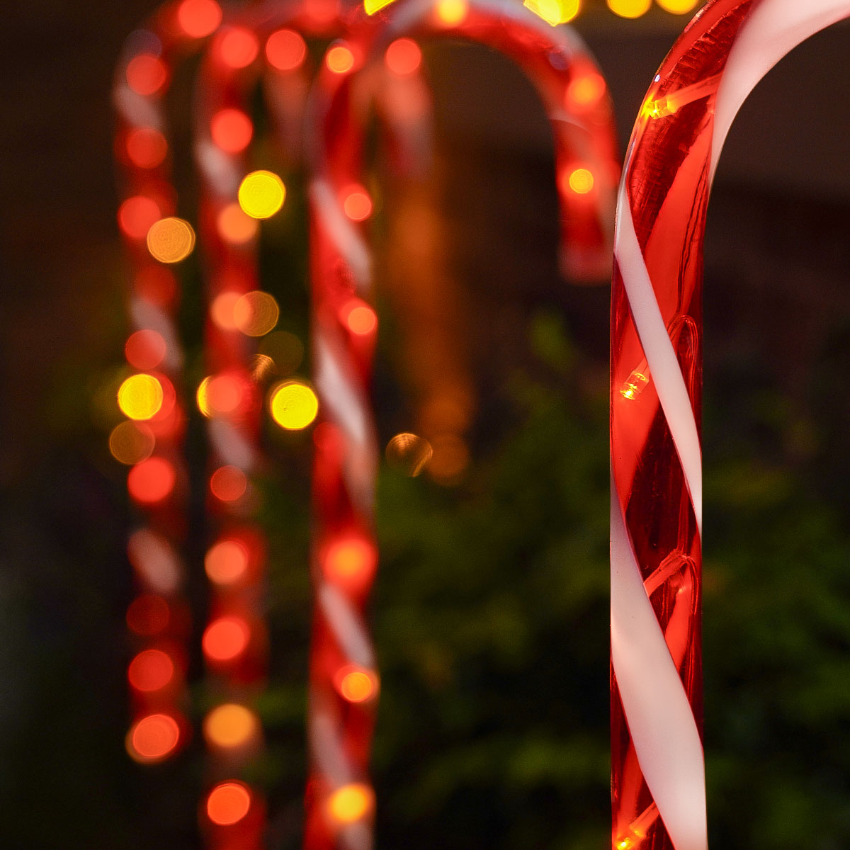 4 Outdoor Candy Canes Battery Christmas Stake Lights 68cm