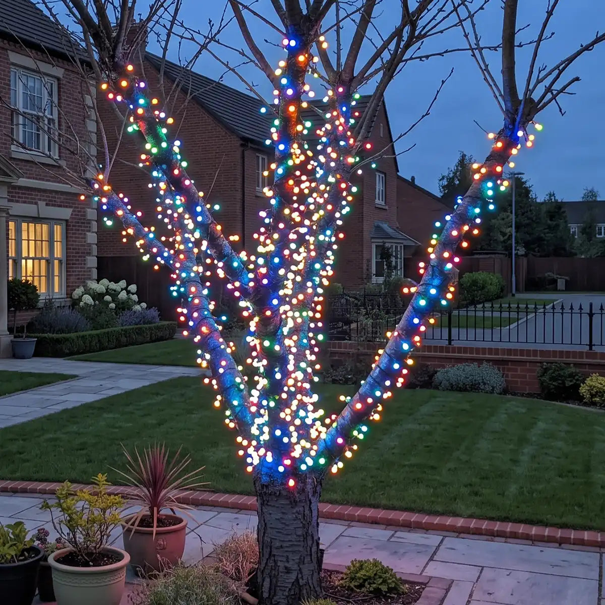 ConnectGo® Connectable Berry Outdoor Cluster Light