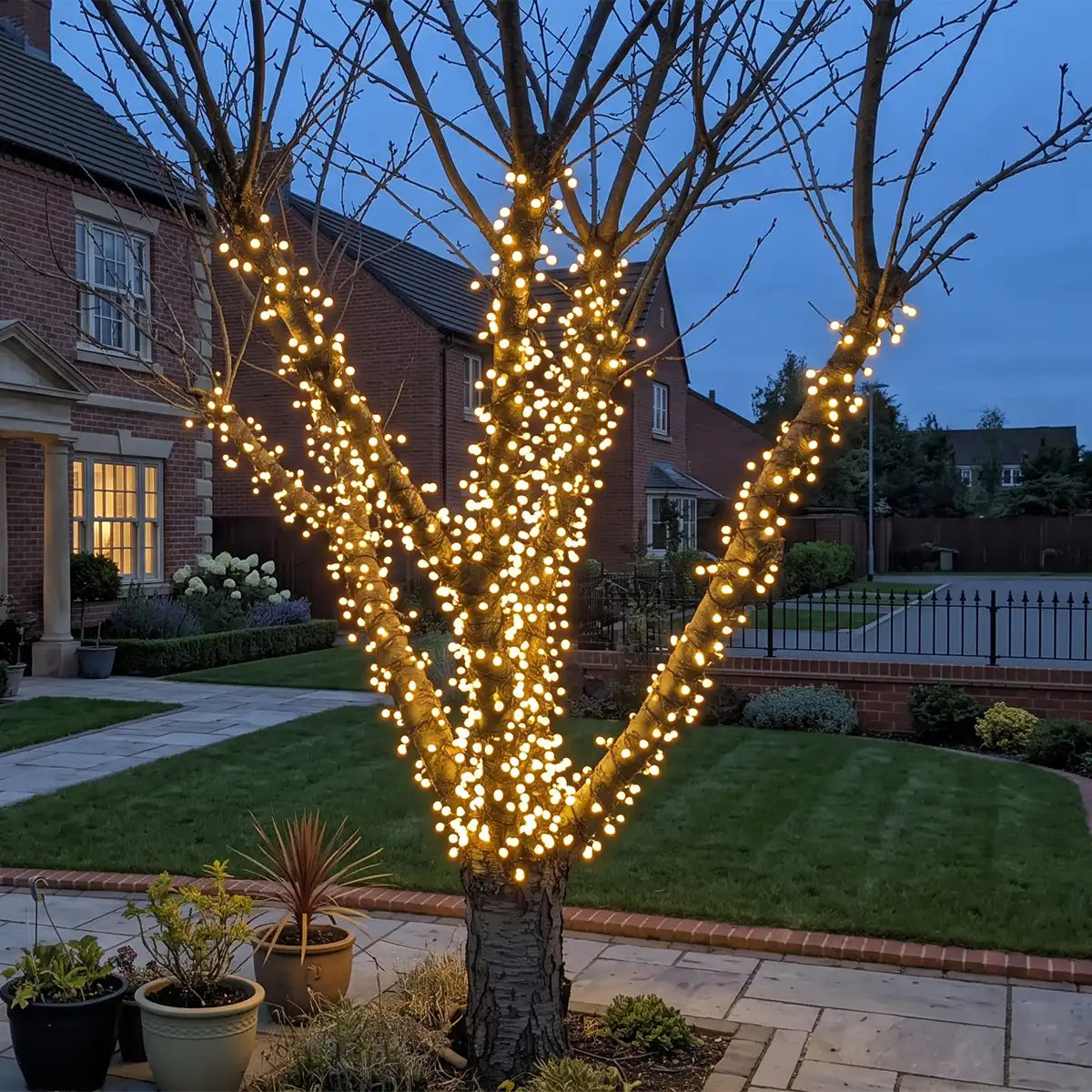 ConnectGo® Connectable Berry Outdoor Cluster Light