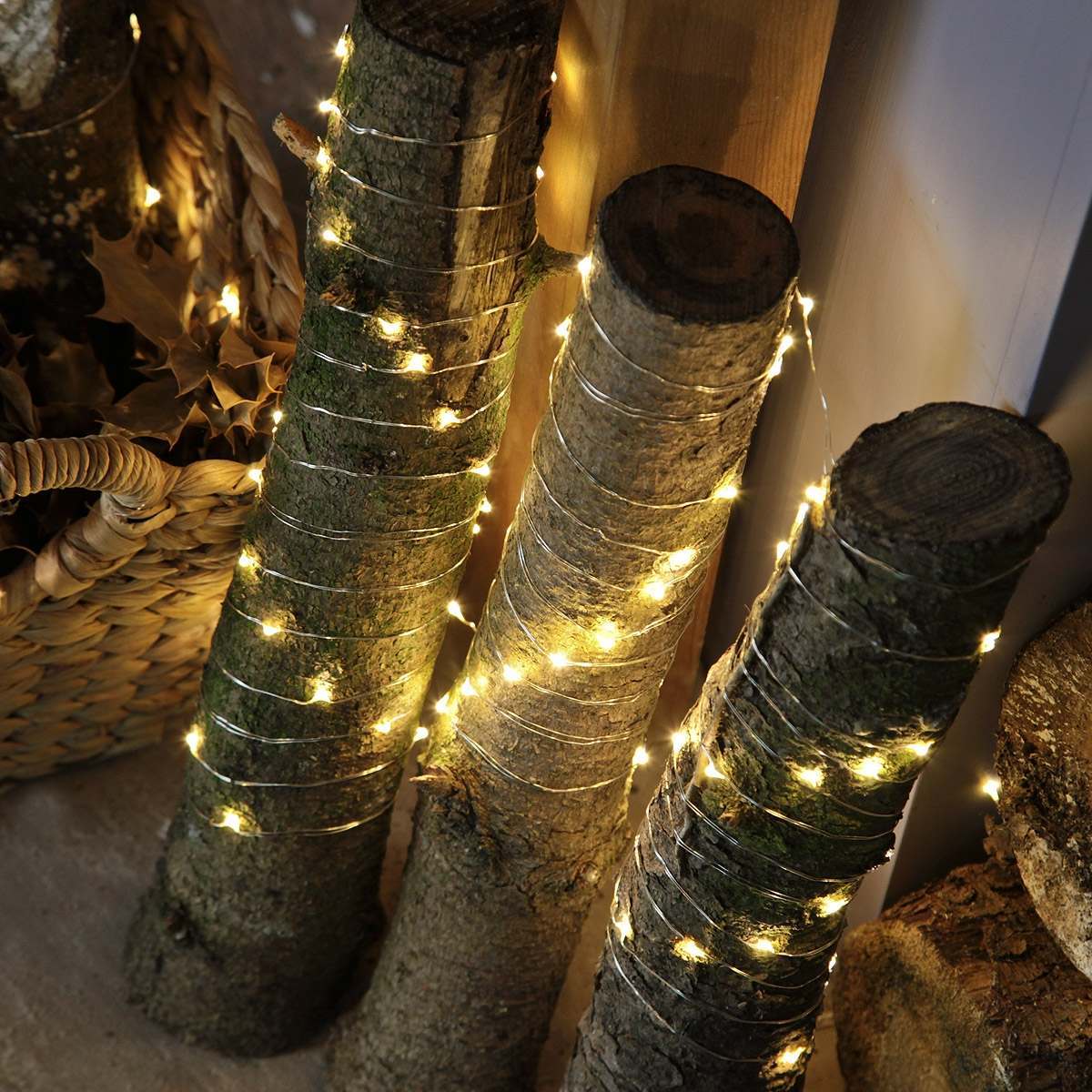 50 LED Battery Micro Outdoor Wire Lights 5m