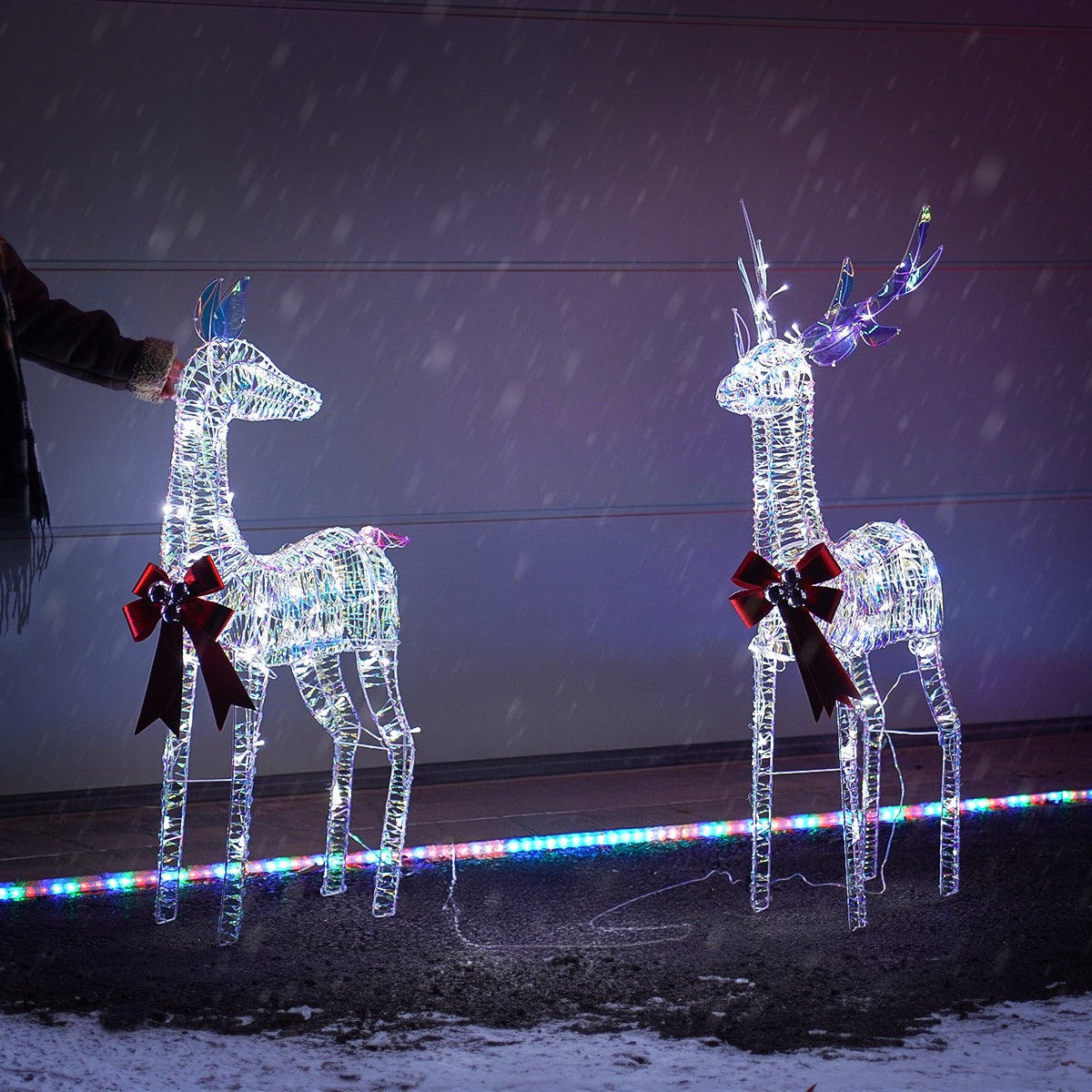 Iridescent Stag & Doe Outdoor Light up Reindeer