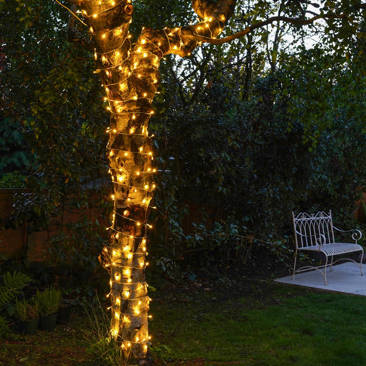 ConnectGo® Outdoor Fairy Lights, Connectable, Clear Cable