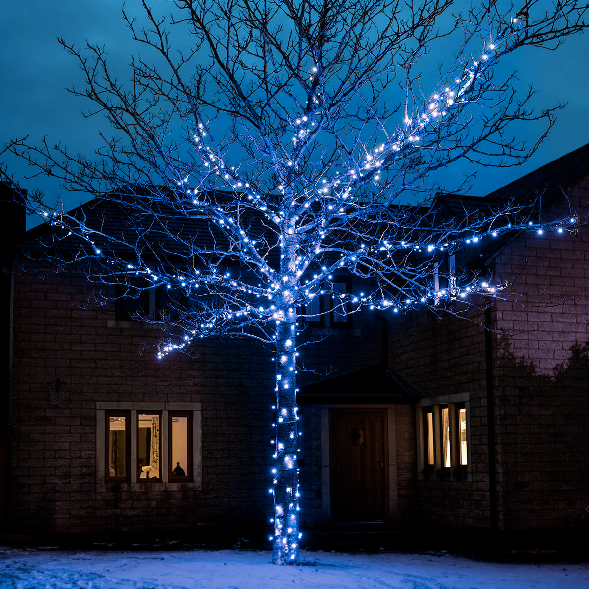 ConnectGo® Outdoor LED Fairy Lights, Connectable, Dark Green Cable