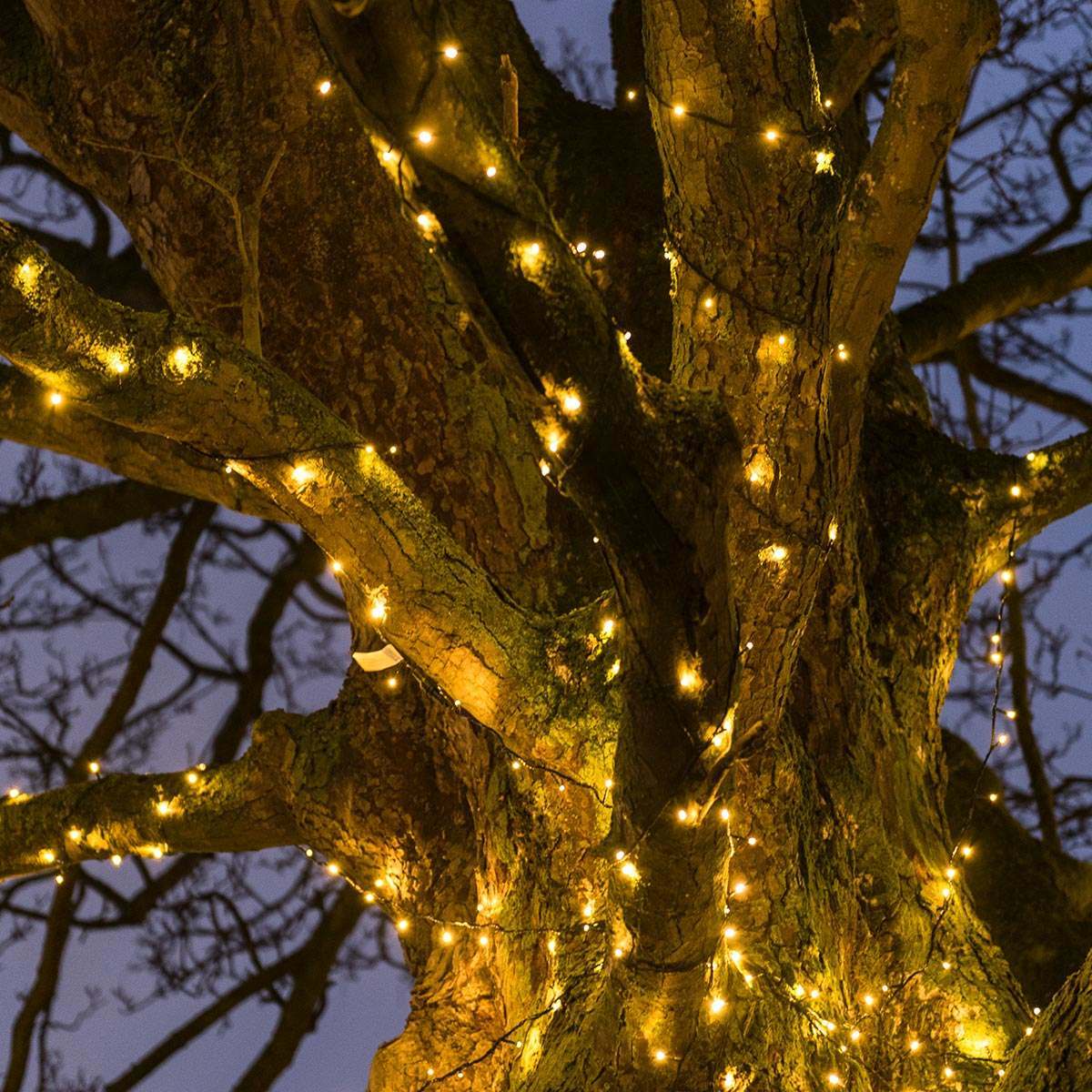 ConnectGo® Outdoor LED Fairy Lights, Connectable, Dark Green Cable