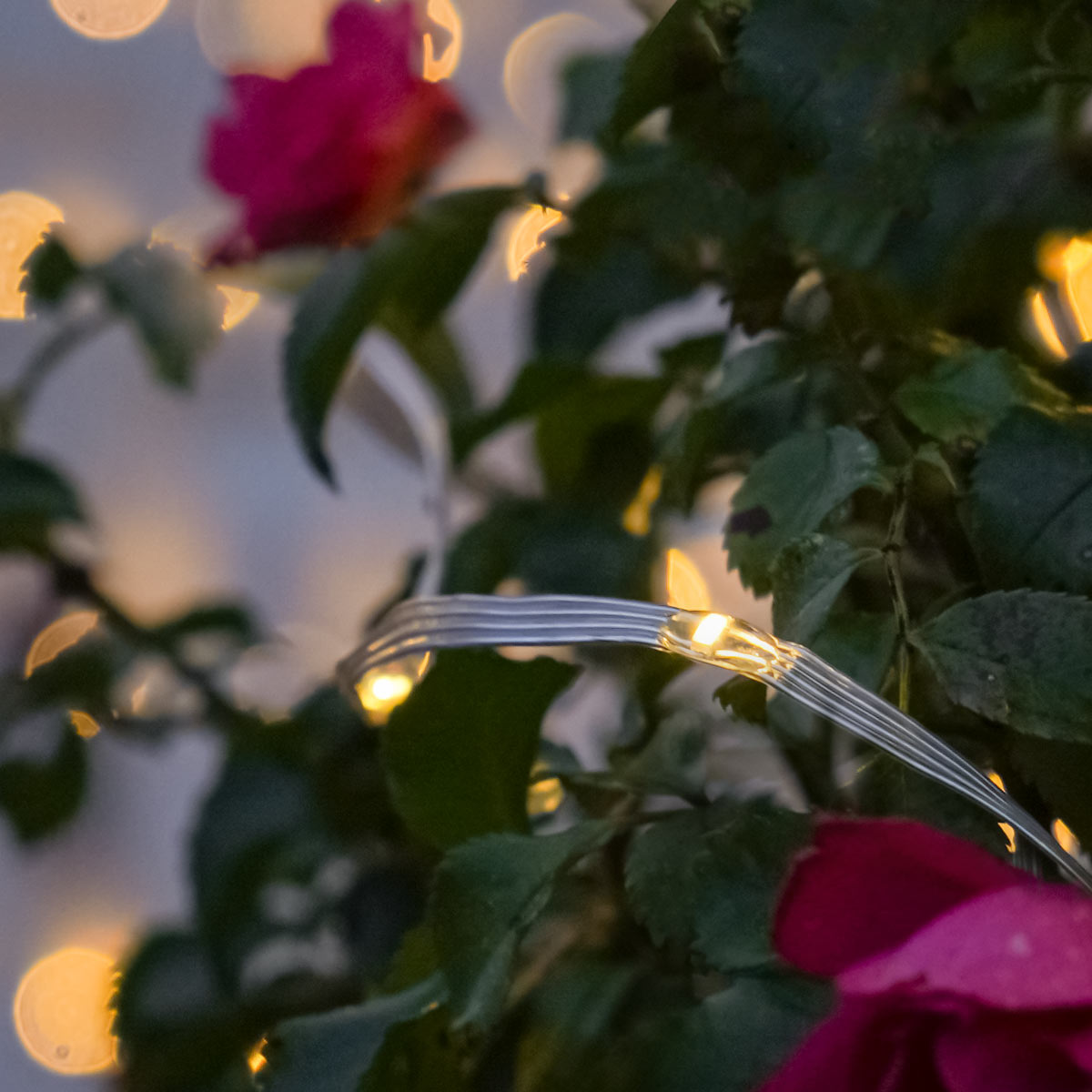 ConnectGo® Outdoor Micro Lights Connectable Warm White