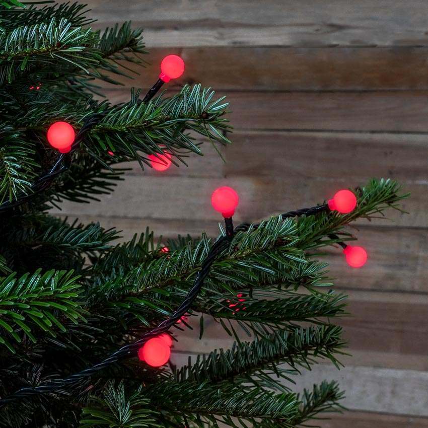 ConnectGo® Outdoor LED Berry Lights, Connectable, Dark Green Cable