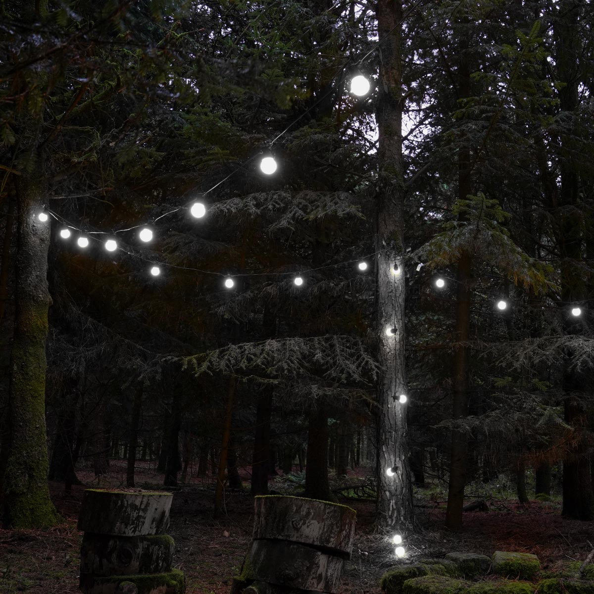 ConnectGo® Festoon Lights, Connectable, Frosted LED Bulbs