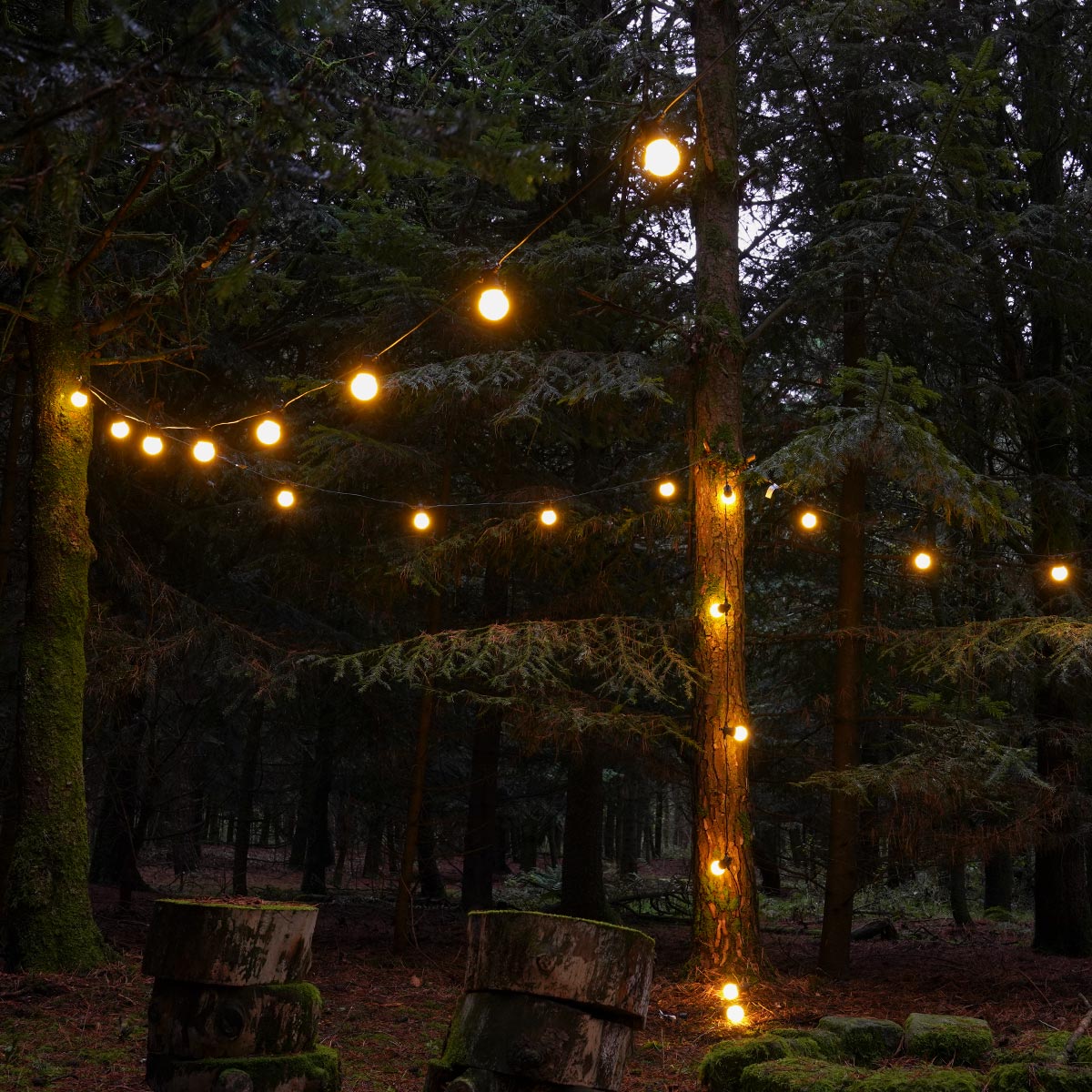 ConnectGo® Festoon Lights, Connectable, Frosted LED Bulbs