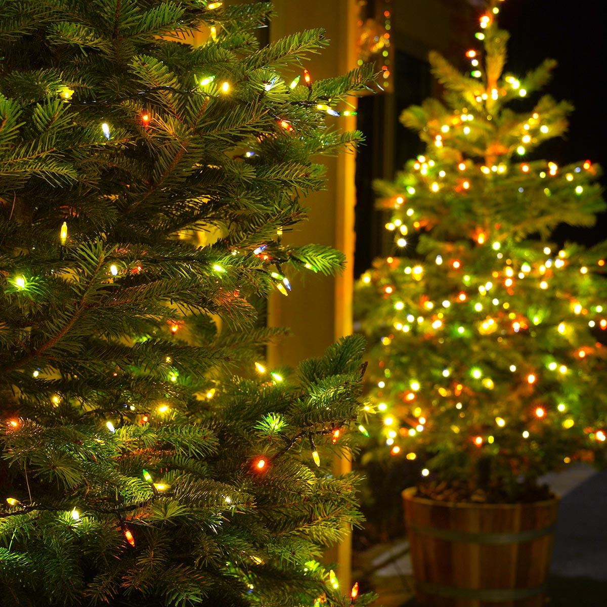 ConnectGo® Outdoor LED Vintage String Lights, Connectable, Dark Green Cable