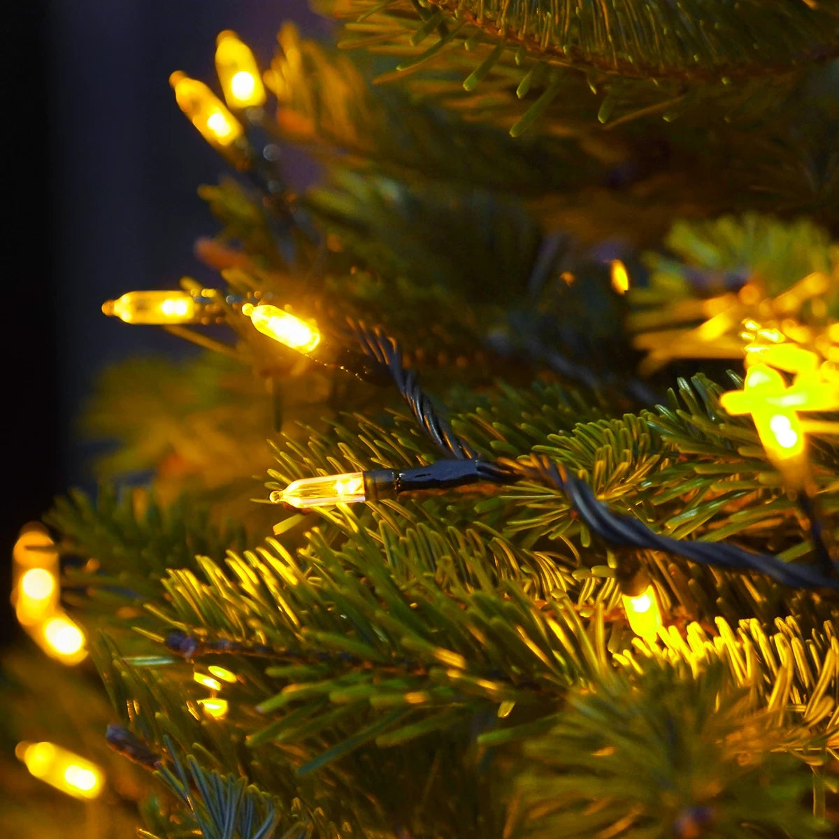 5m-string-lights-traditional-50-leds