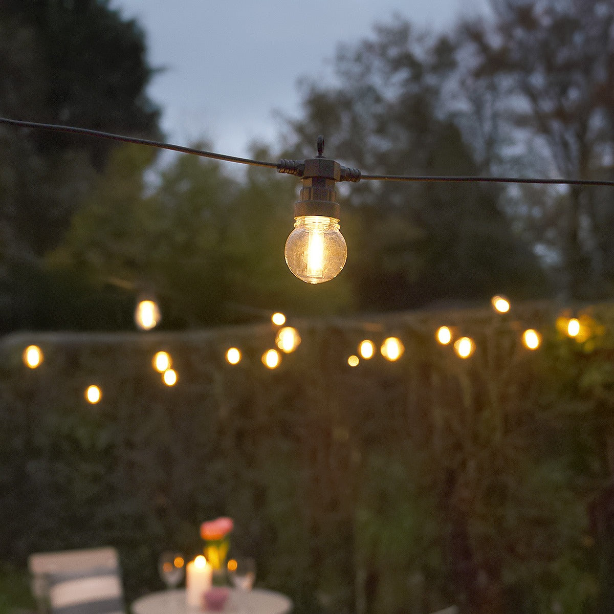 Connectable Festoon Lights with G50 Clear Filament Effect Bulbs on Black Rubber Cable