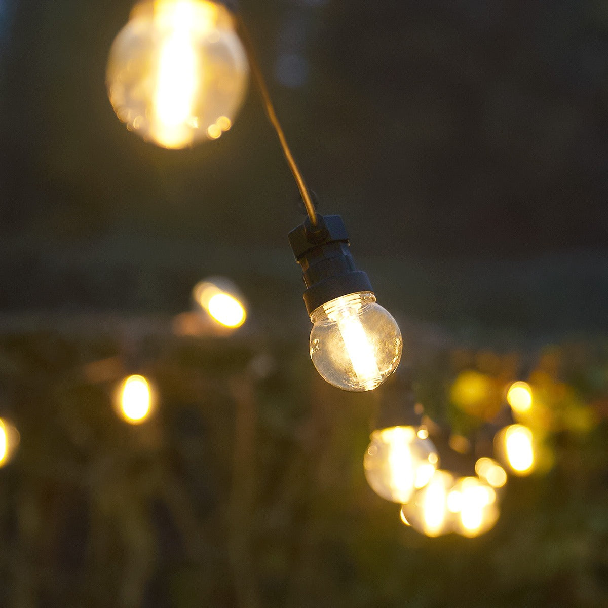 Connectable Festoon Lights with G50 Clear Filament Effect Bulbs on Black Rubber Cable