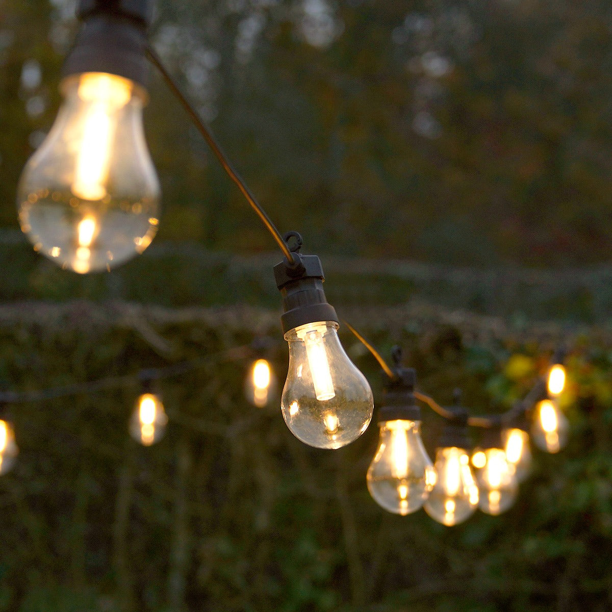Connectable Festoon Lights with A60 Filament Effect Bulbs on Black Rubber Cable