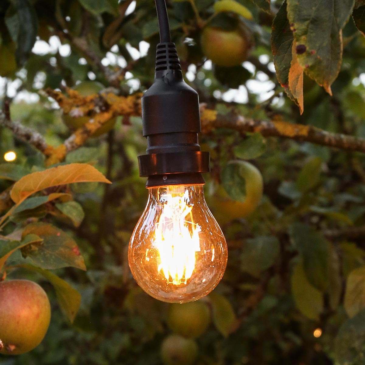FestoonPro® 4W E27 Fully Dimmable Vintage Tinted Filament Style, Warm White LED Light Bulb