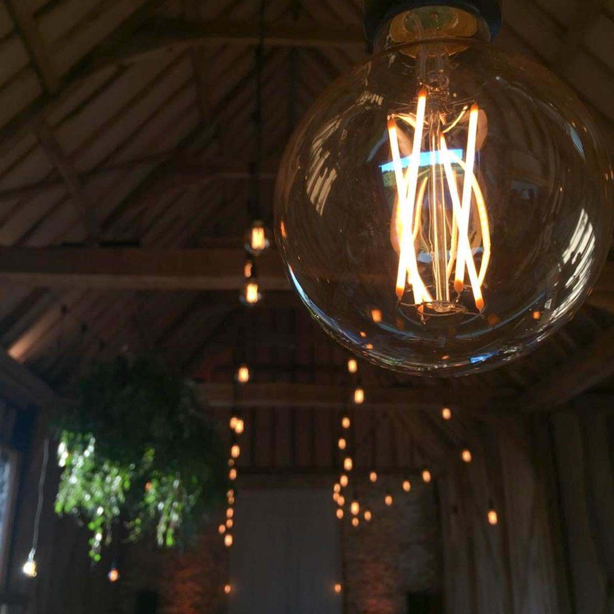 FestoonPro® 4W E27 Fully Dimmable Vintage Tinted Globe Filament Style, Warm White LED Light Bulb