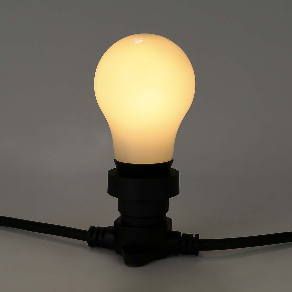 E27 LED A60 Festoon Bulb