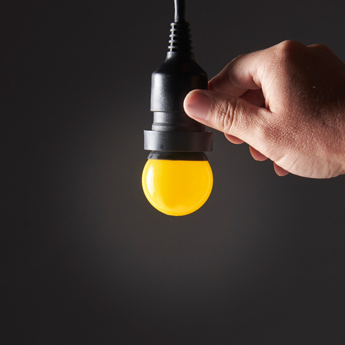 FestoonPro® 2W B22 LED Festoon Bulb
