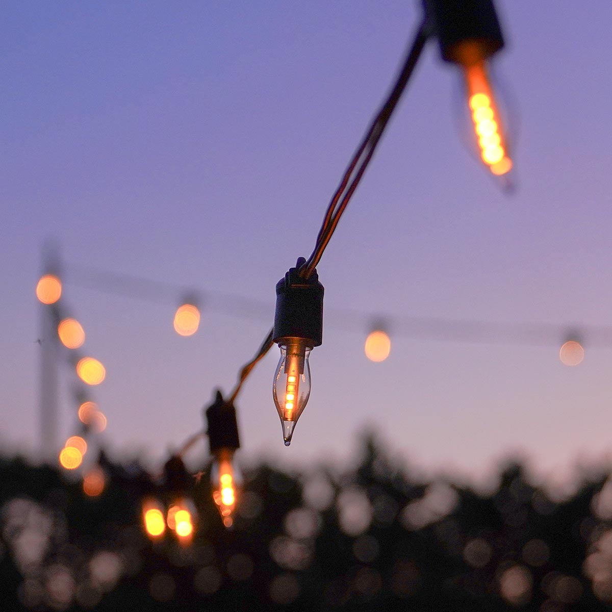 FestoonPro® E14 Flame Bulb Festoon, Connectable