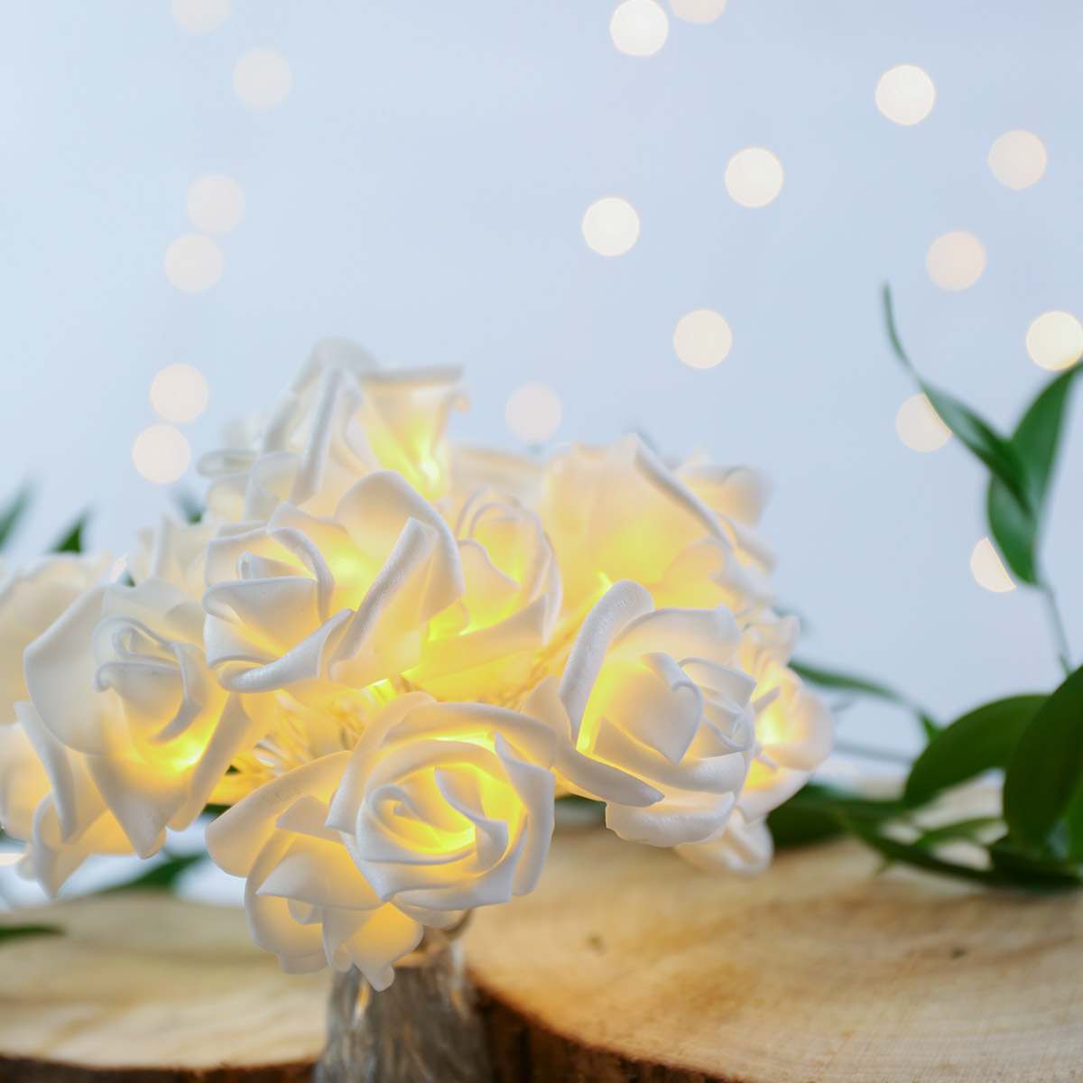 Battery Rose Fairy Lights, 20 Warm White LEDs, 3.8m