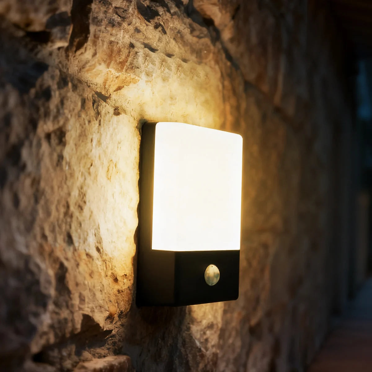 Outdoor Security Light PIR Sensor USB Rechargeable