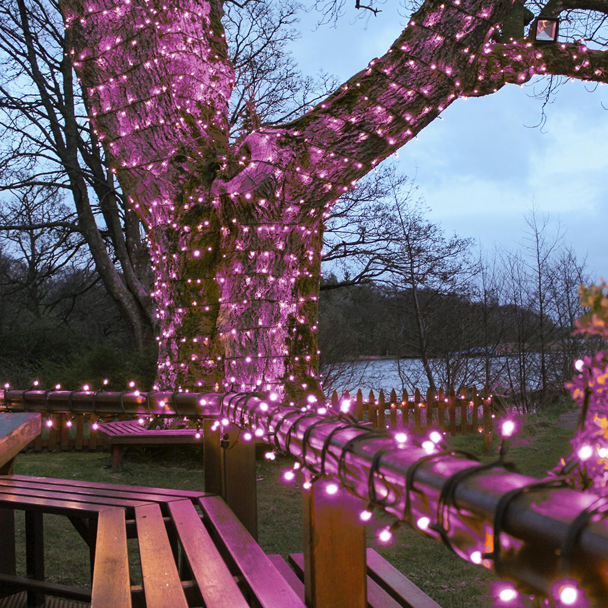 Connectable Outdoor String Lights on Black Rubber Cable