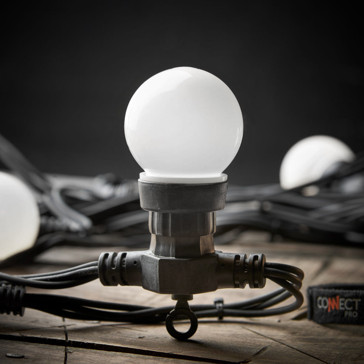 Connectable Festoon Lights with Frosted Bulbs on Black Rubber Cable