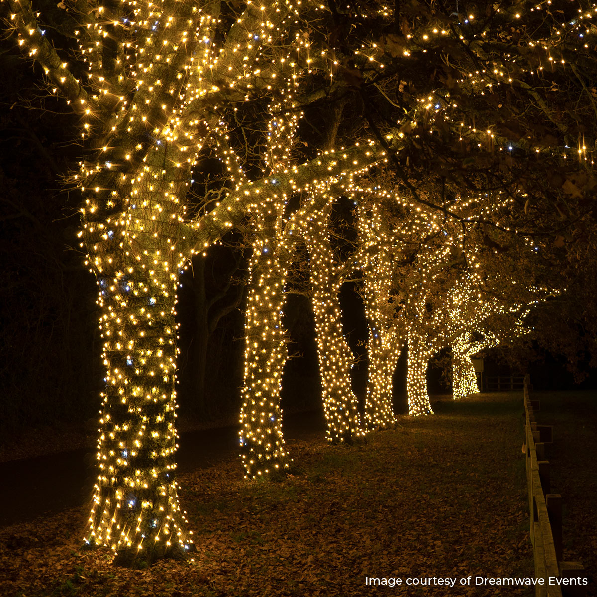 ConnectPro® Outdoor String Lights, Warm White with White Flash LED, Black Rubber Cable