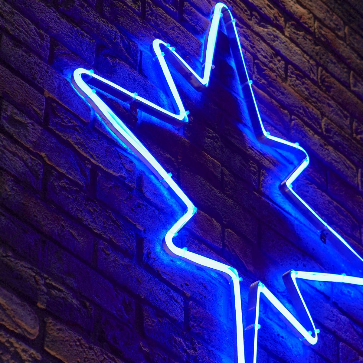 ConnectPro® 1.2m LED Connectable Neon Flex Outdoor North Star Light