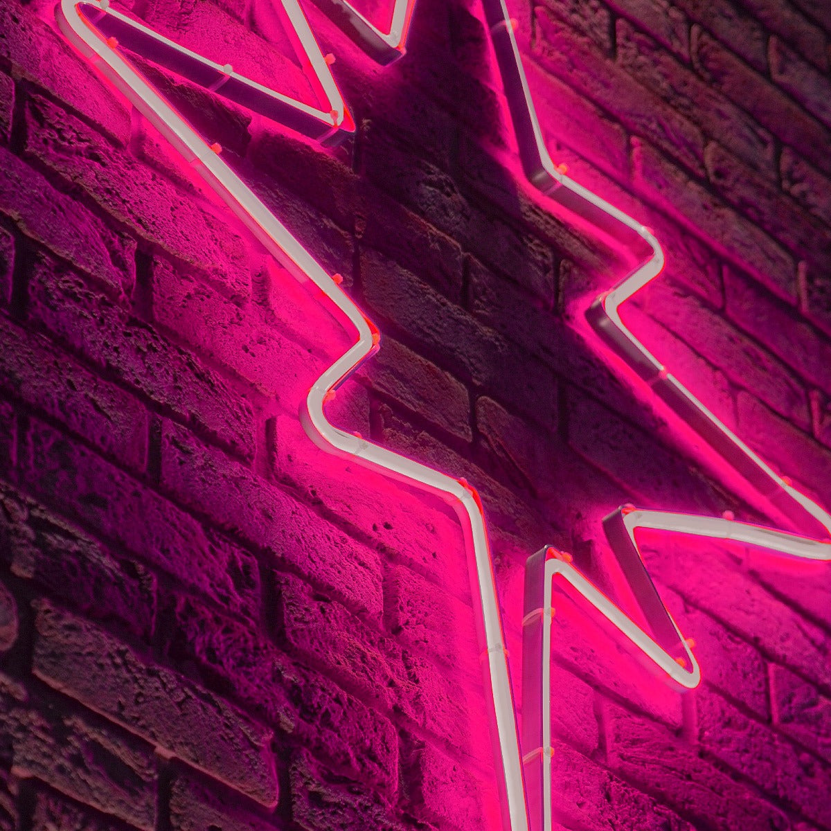 ConnectPro® 1.2m LED Connectable Neon Flex Outdoor North Star Light