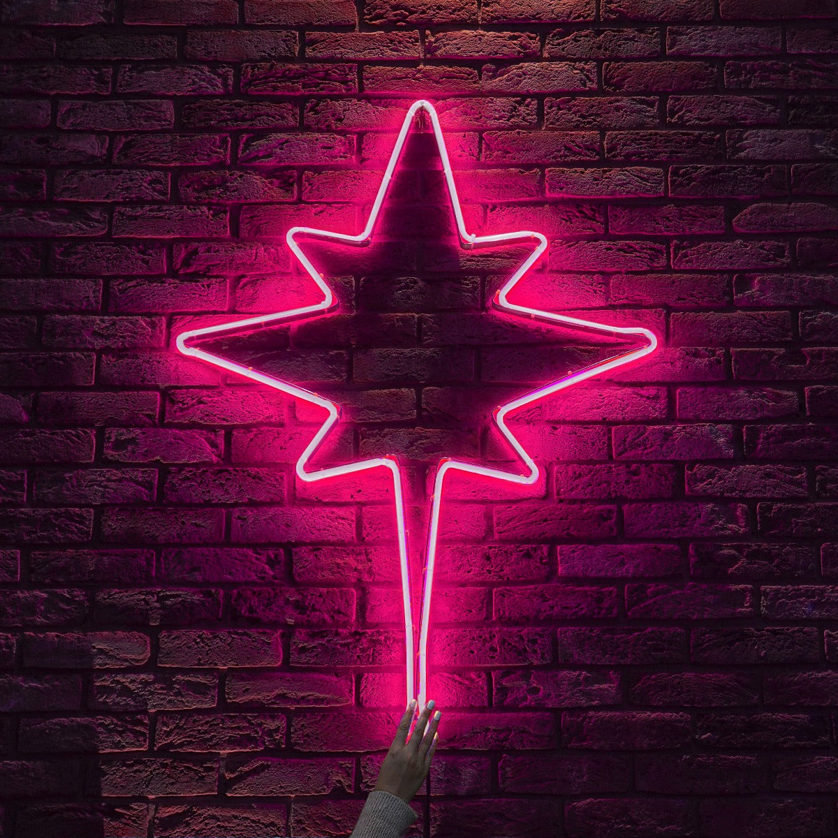 ConnectPro® 1.2m LED Connectable Neon Flex Outdoor North Star Light