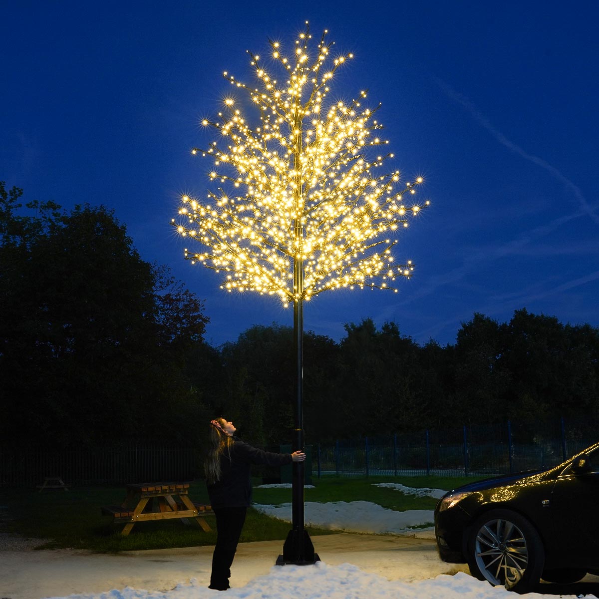 ConnectPro® 5m Branch Tree Static