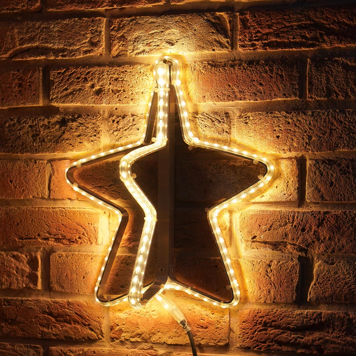 ConnectPro® Star Light Outdoor Silhouette